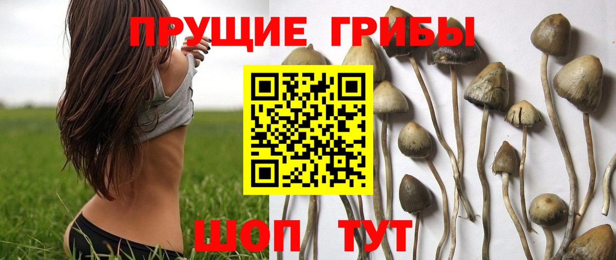 Галлюциногенные грибы мицелий Дятьково